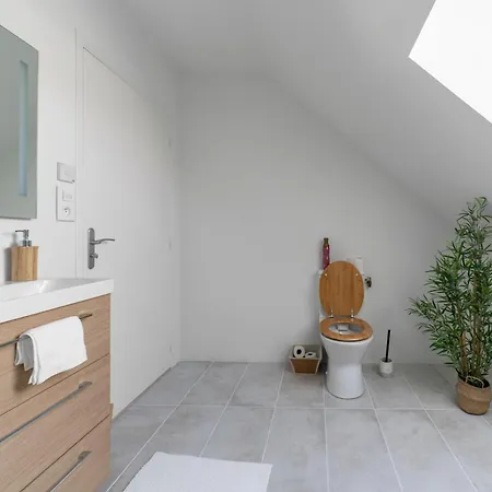 Grande Maison Saint Paul - Maison De Campagne Design - Parking Gratuit * Brout-Vernet